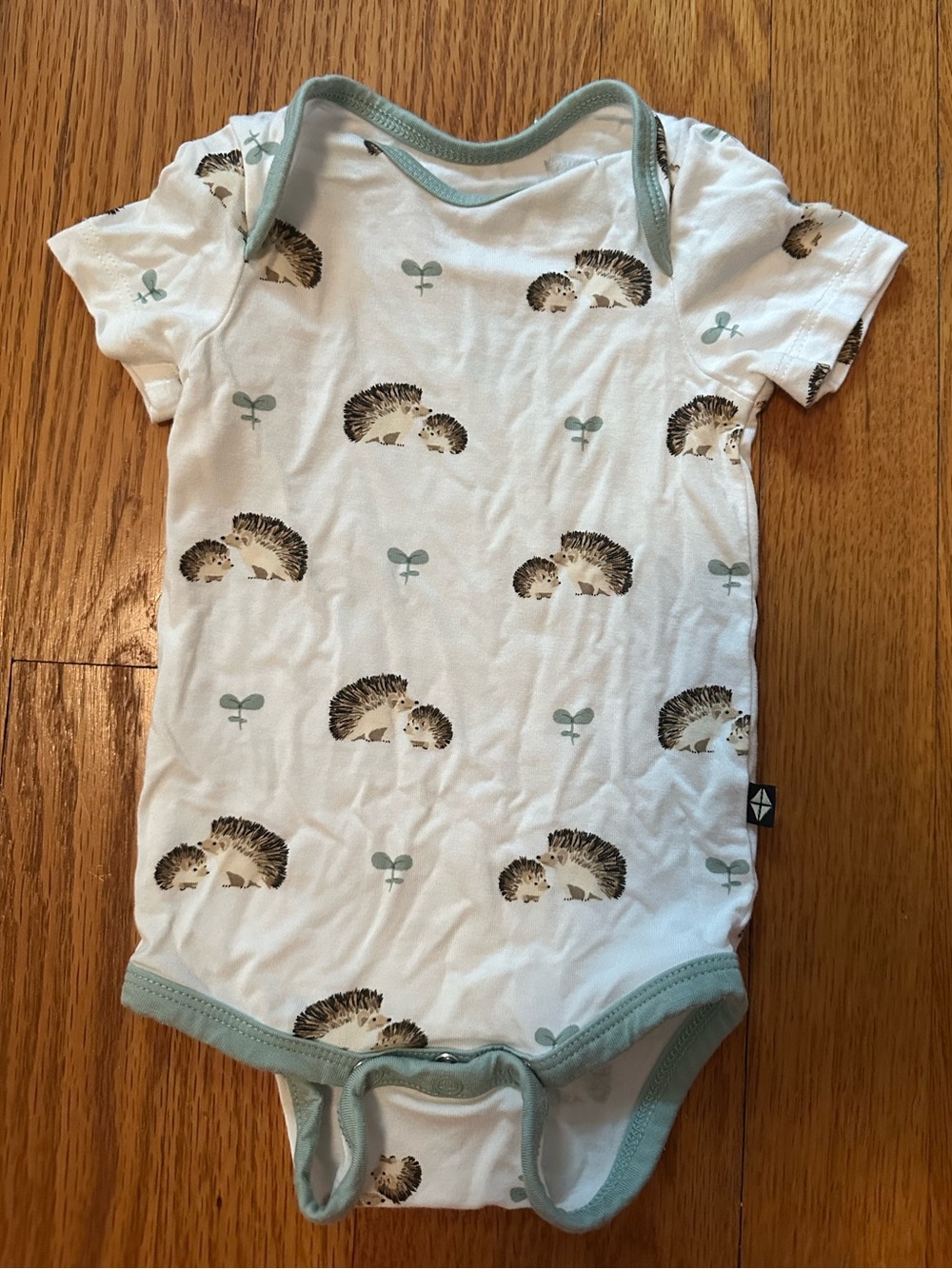 Kyte BABY White Onesie with Sage Trim and Hedgehog Motif